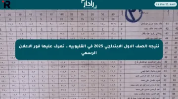 نتيجة الصف الأول الابتدائي 2025 في القليوبية.. تعرف عليها فور الإعلان الرسمي